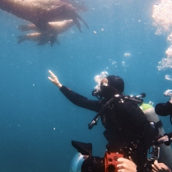 fotos-baja-cadena021