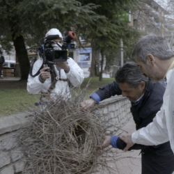 2-20_jalis-con-nido-y-camara