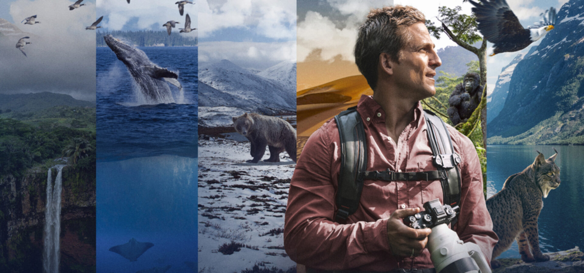 CAZADORES DE IMAGENES